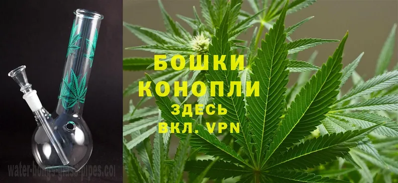 Бошки марихуана White Widow  купить   Стрежевой 